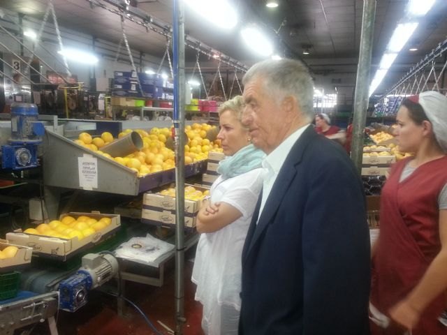 Martínez-Cachá resalta la capacidad productiva y exportadora de los agricultores de Mula
