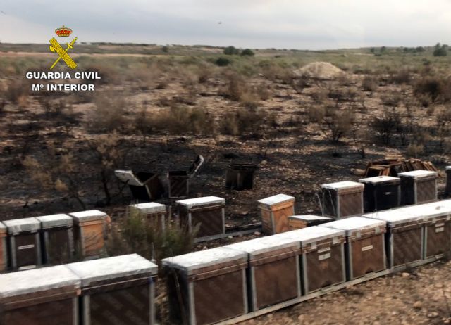 La Guardia Civil esclarece el incendio de 4.000 m2 de monte bajo en Mula