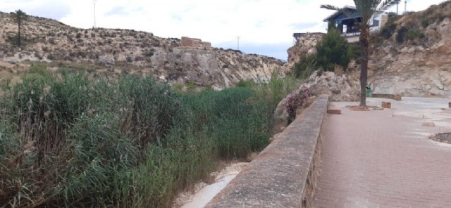 El Ayuntamiento reivindica a Confederación Hidrográfica la limpieza del río Mula