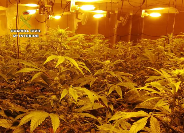 La Guardia Civil desmantela en Mula una organización criminal dedicada al tráfico de drogas