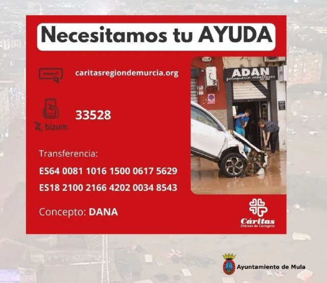   Finaliza la recogida solidaria de productos para afectados por la DANA y se recomienda colaboración económica