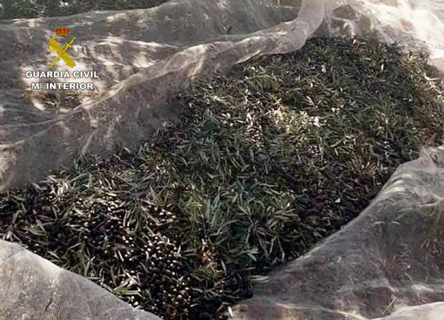 La Guardia Civil desmantela un grupo delictivo dedicado a la sustracción de productos del campo en Mula