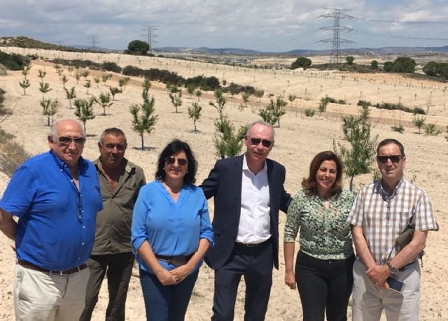 Agricultura ultima el pago de ayudas a 1.200 agricultores para reponer 896.000 almendros
