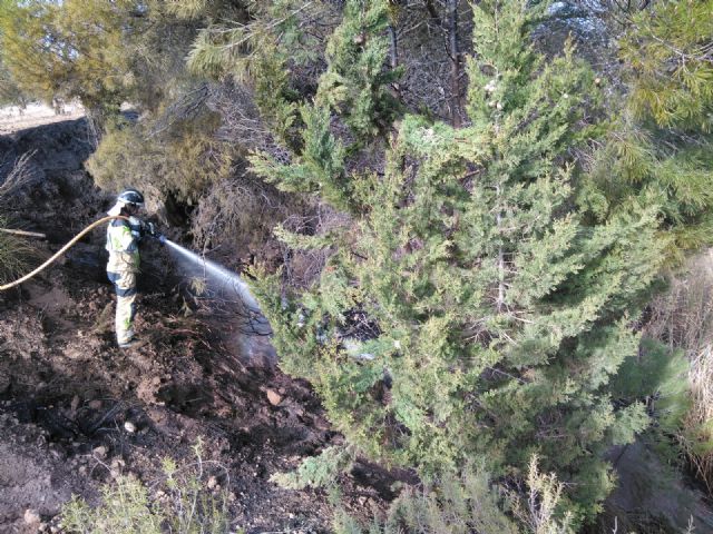 Incendio en una rambla en Casas Nuevas (Mula)