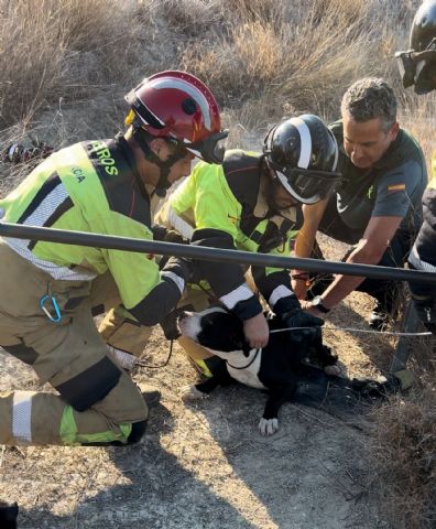 Bomberos rescatan a dos perros que cayeron en un embalse en el paraje de La Alquibla