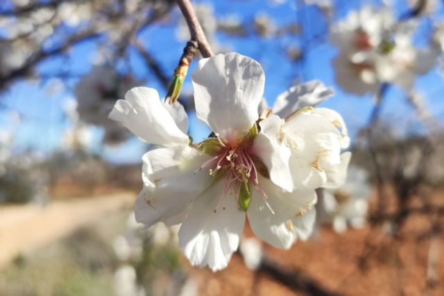  Intenso fin de semana con las actividades de MulaFlor 2025