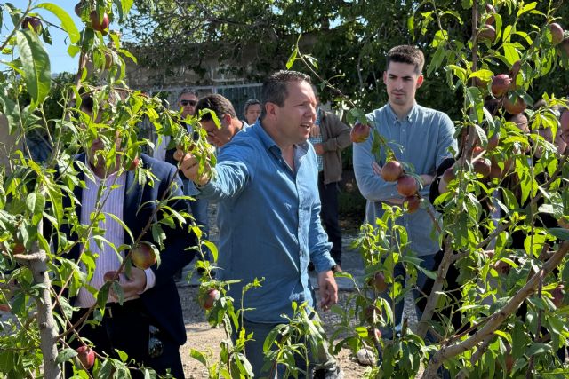 Visita al campo de Yéchar tras la granizada que ha afectado al campo muleño