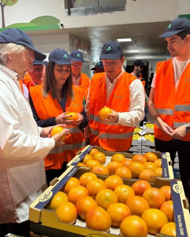 Los agricultores podrán disponer de nuevas variedades de pomelo en los próximos años