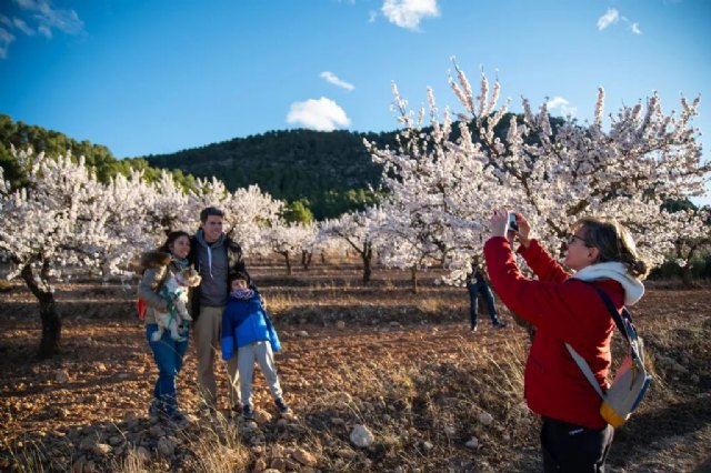 La primera floración de Europa sigue resplandeciendo en la segunda semana de MulaFlor24