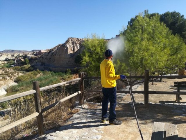 Campaña de fumigación contra la procesionaria de los pinos
