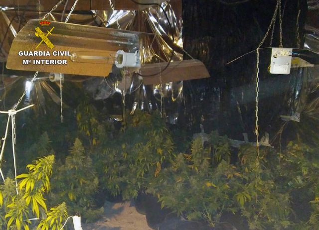 La Guardia Civil desmantela en Pliego una plantación indoor de marihuana