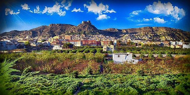 Actuaciones municipales frente a la plaga de chinche del campo