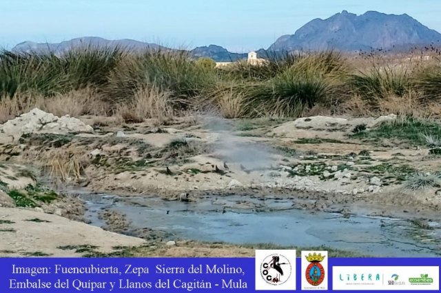 Testing fotográfico para identificar flora y fauna en Fuencubierta