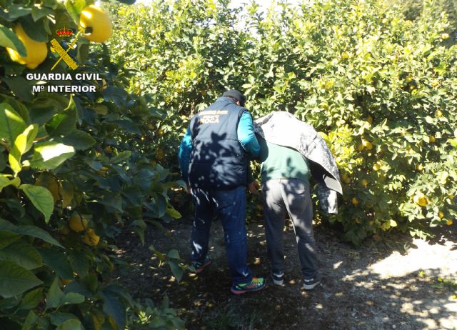 La Guardia Civil detiene a dos personas por cometer robos y hurtos en fincas del Noroeste y Río Mula