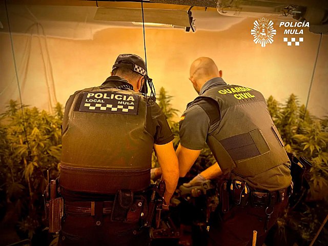 Agradecimiento a los cuerpos y fuerzas de seguridad de Mula por su destacada actuación en la Operación «Mizas 3»
