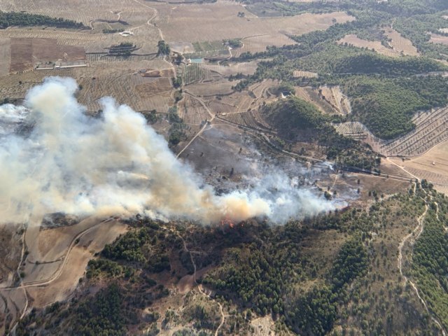 Incendio forestal en el paraje los Porriones