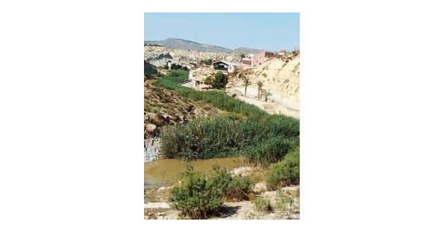 Ciudadanos solicita el acondicionamiento del cauce del río Mula