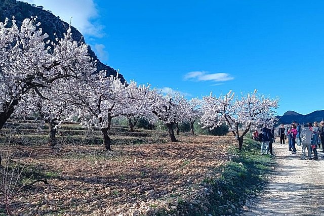 MulaFlor 2026 cierra su edición tras dos meses de actividad con un impacto económico cercano a los a los 2 millones de euros en su territorio