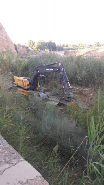 Limpieza del río Mula
