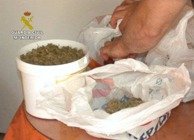 La Guardia Civil desmantela en Mula un invernadero de marihuana con más de medio millar de plantas y 200 esquejes