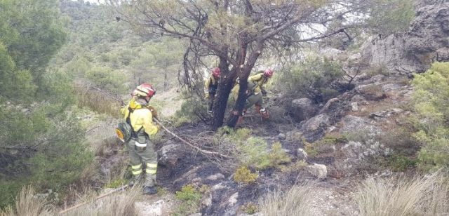 Dan por extinguido incendio forestal en Mula