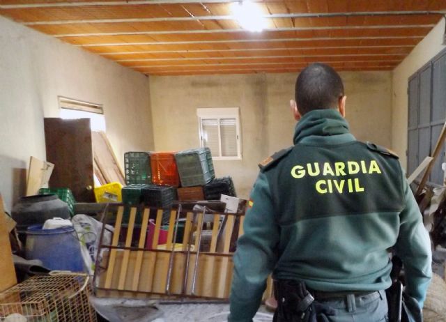 La Guardia Civil desmantela un grupo criminal al que se le atribuye una decena de robos en casas de campo de Mula